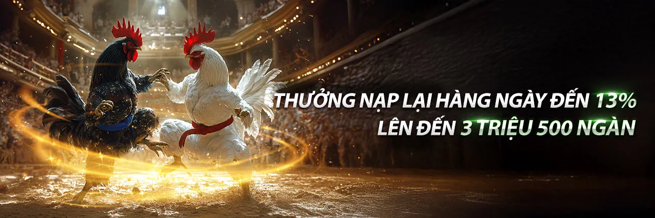 Sân vận động với ánh đèn rực rỡ, biểu tượng cá cược thể thao WIN55 và mã khuyến mãi